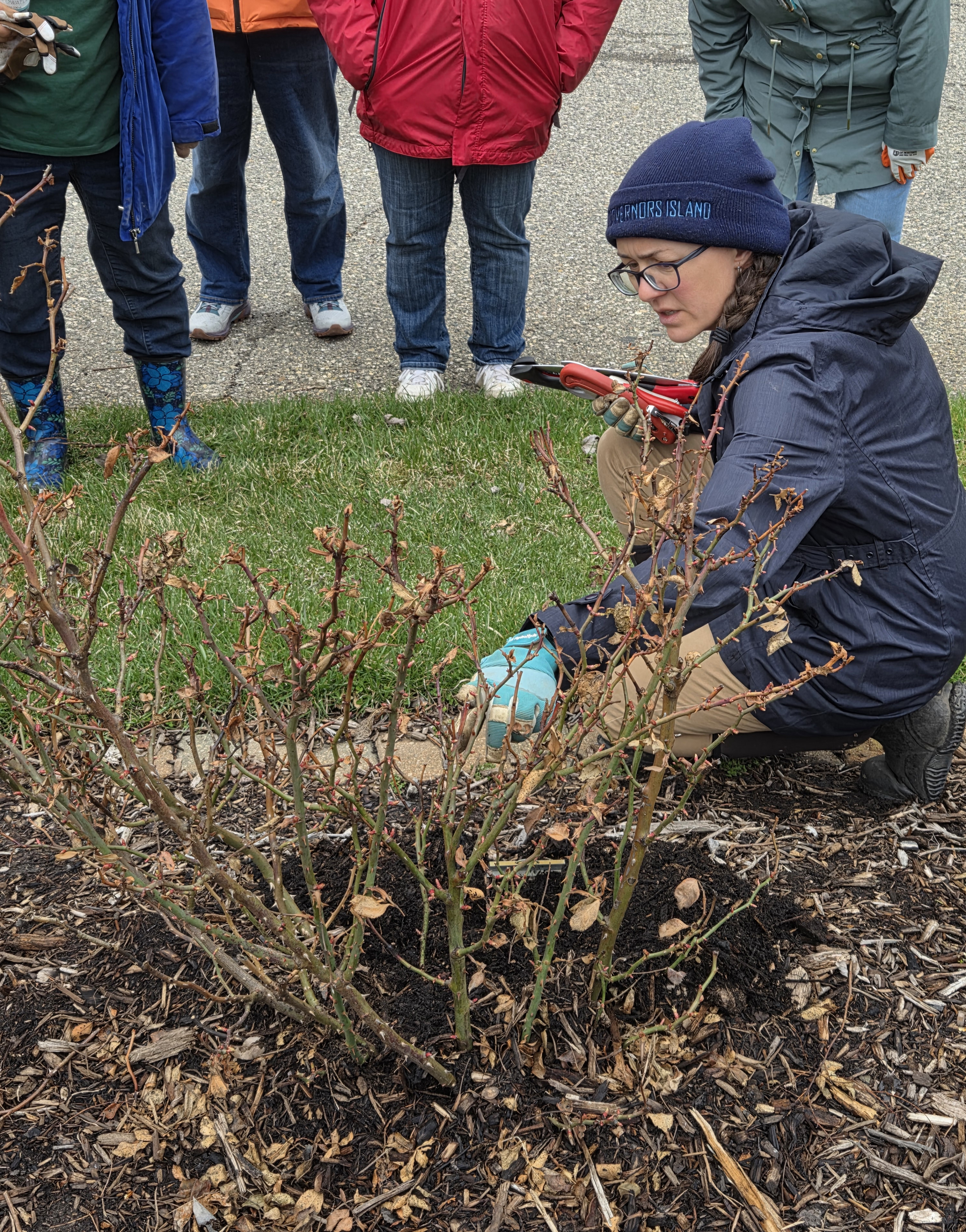 An instructor wearing a navy beanie and gloves kneels beside a dormant shrub, demonstrating pruning techniques with red-handled pruners. Several participants stand nearby on a paved path, watching closely.